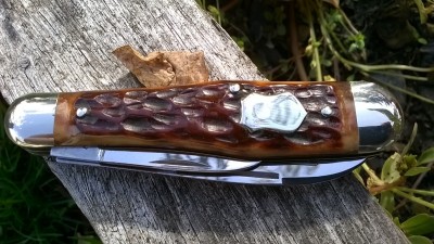 WP_20170930_023.jpg