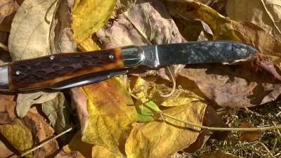 WP_20170930_028.jpg