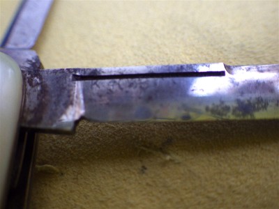RIMG1088.JPG