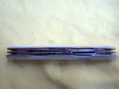 RIMG1089.JPG