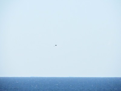 DSCN9951.JPG