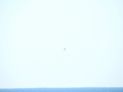 DSCN9955.JPG