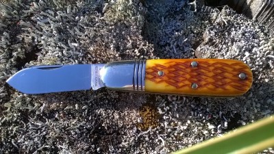 WP_20171002_034.jpg