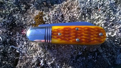WP_20171002_042.jpg