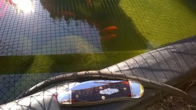 WP_20171004_024.jpg