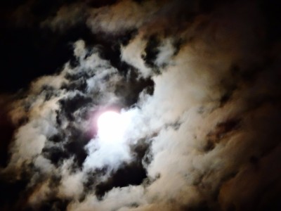 DSCN9237.JPG