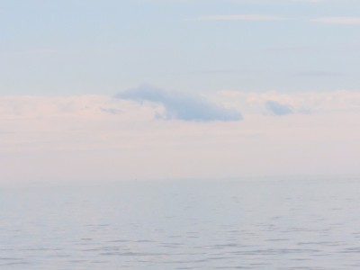 DSCN9177.JPG