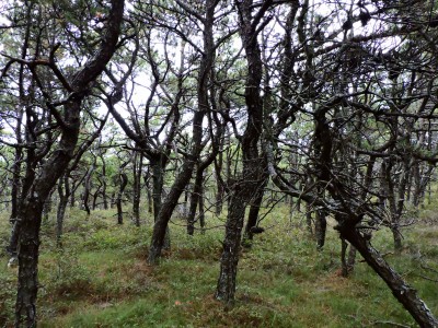 DSCN9198.JPG