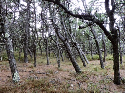 DSCN9199.JPG