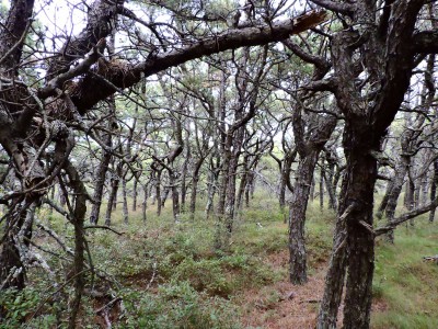DSCN9204.JPG