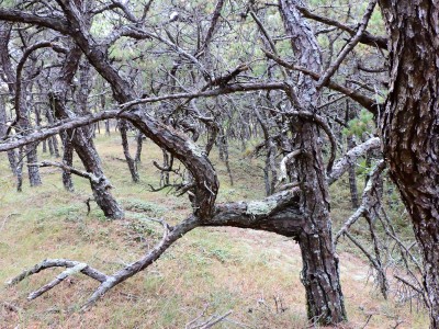 DSCN9208.JPG
