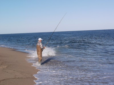 DSCF3033.JPG