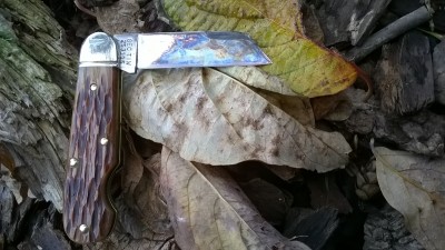 WP_20171010_013.jpg