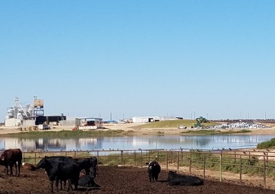 20171012_114726.jpg