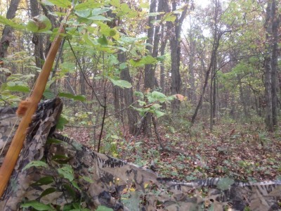 10-10-17 hunting grounds 1-1 blind - 1.jpg