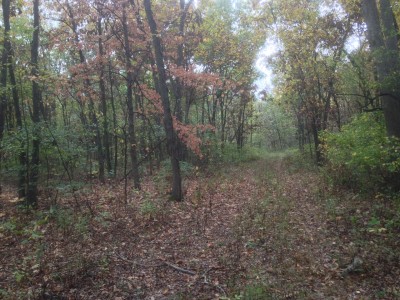 10-10-17 hunting grounds 1-1 blind - 1 (1).jpg
