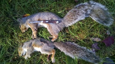 IMG_20171015_151127058.jpg