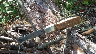 20171019_105543.jpg