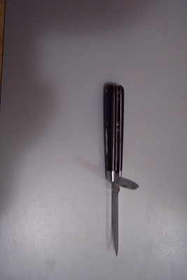 100_1619.JPG