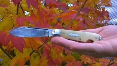 WP_20171020_011.jpg