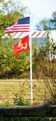 P1020017.JPG