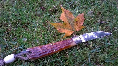 WP_20171023_084.jpg