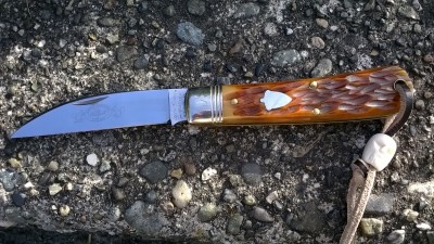 WP_20171023_002.jpg