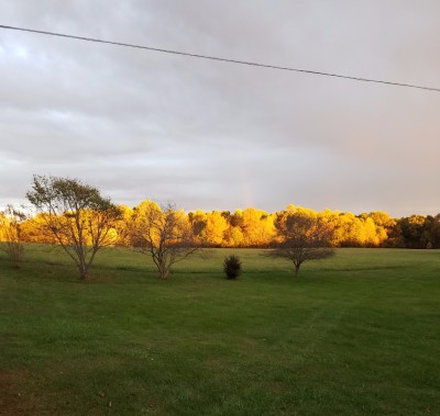 20171025_121212.jpg