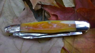 WP_20171025_029.jpg
