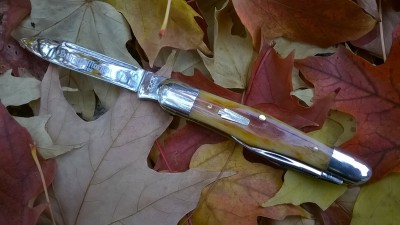 WP_20171025_018.jpg