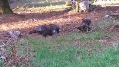 20171026_082856.jpg