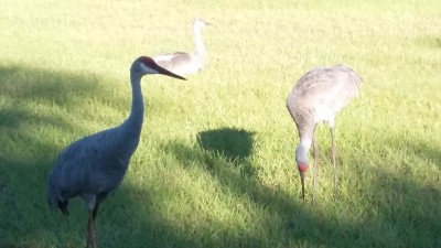 20171026_091053.jpg