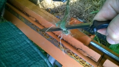 WP_20171028_002.jpg