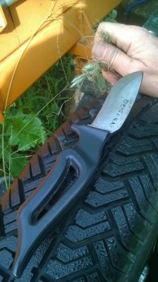 WP_20171028_004.jpg