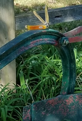 20171003_162929.jpg