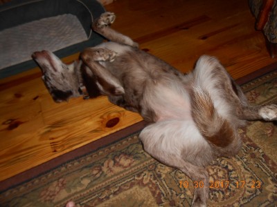 DSCN3888.JPG
