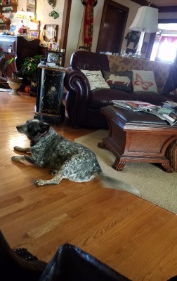 20171101_091018.jpg