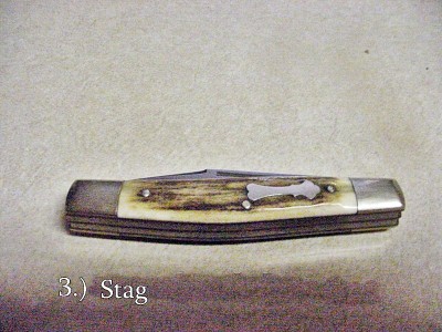DSC00234.JPG