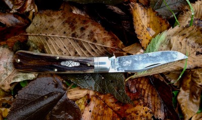 leafy knife photo - 1.jpg