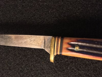image6 (1).jpeg