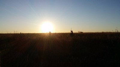 Dan and Miles - Scatteres Acres - 10-28-17.jpg