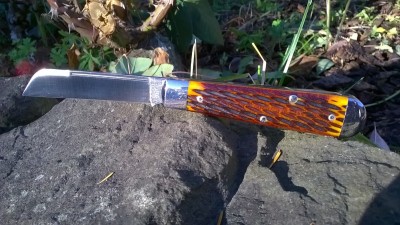 WP_20171024_003.jpg