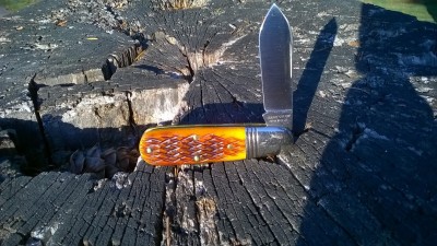 WP_20171029_001.jpg
