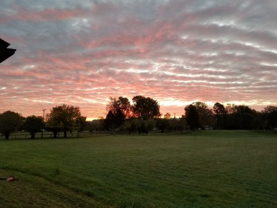 20171030_075231.jpg