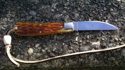 WP_20171023_006.jpg