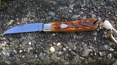 WP_20171023_011.jpg