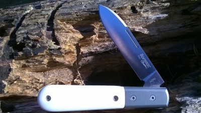 WP_20171102_049.jpg