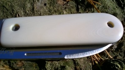 WP_20171102_083.jpg