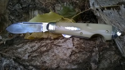 WP_20171110_006.jpg
