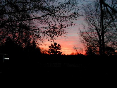 DSCN4270.jpg